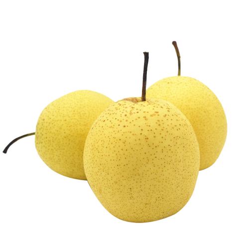 ѩ