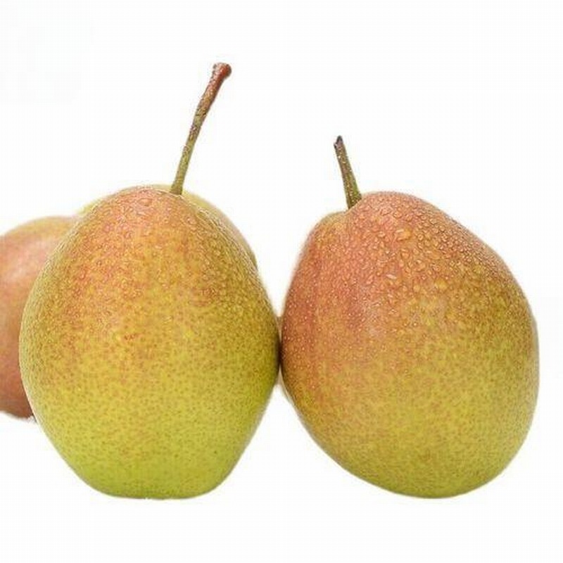 ʱμ²׸ð紺