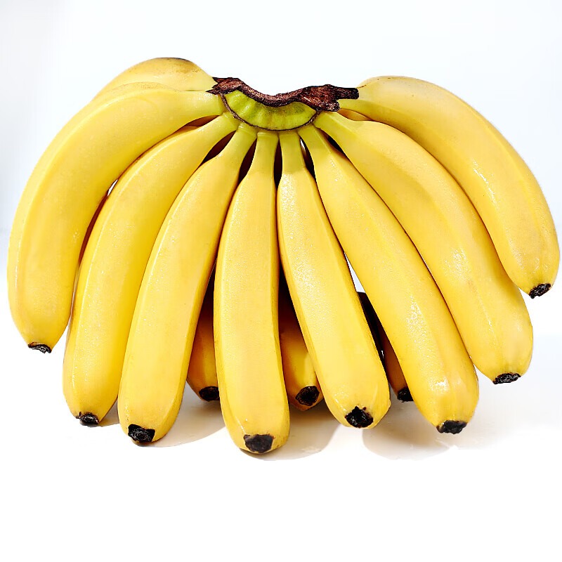 ʱ ʳ紺