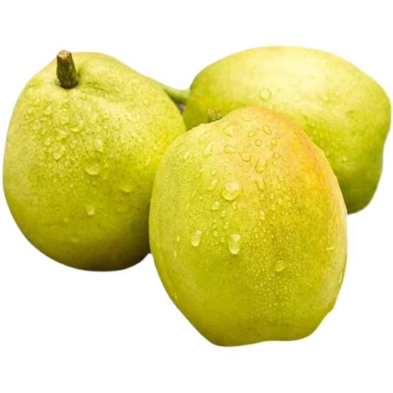 עðಹƷ紺