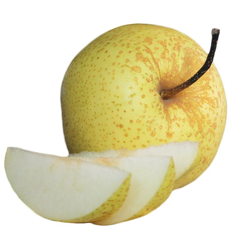 ע⣺Ծ²ٳԹ紺