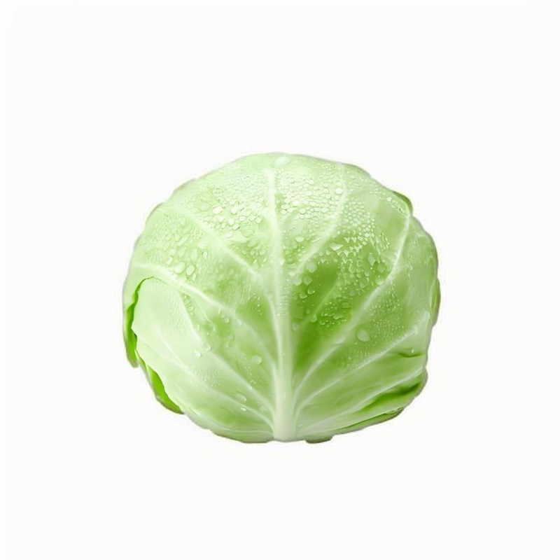 ֽ ؾ