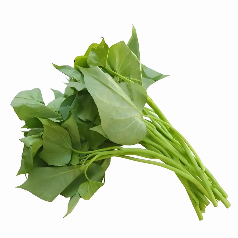 Ҷ