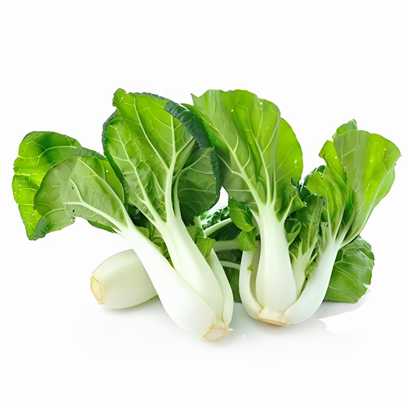 ̰ײ